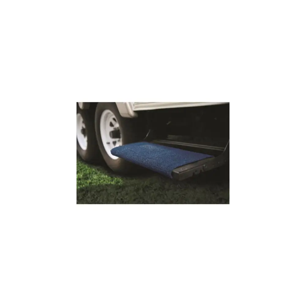 Step Rug Blue - CAM42924